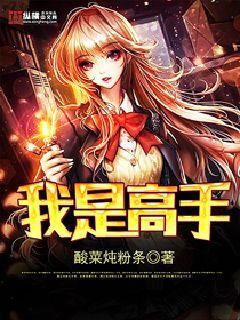 我是高手宁俊没