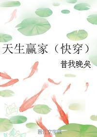 天生赢家快穿无弹窗免费阅读