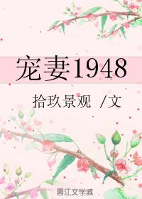 宠妻1948[重生