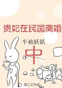 贵妃在民国离婚中小数书评