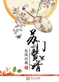 苏门赘婿1至100集免费播放