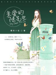 亲爱的陆先生 熊孩子免费阅读