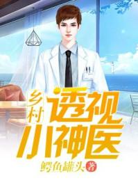 乡村透视小神医李霄