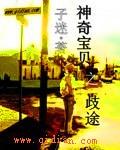 神奇宝贝之歧途剧透