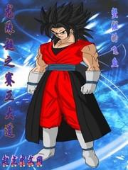 龙珠超之赛亚大道目录