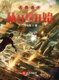 无限诸天从红楼开始作者二手电瓶