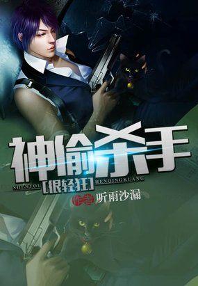 电视剧神偷特种兵在线观看
