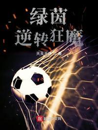 绿茵逆转狂魔123读TXT