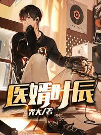 医婿叶辰TXT全本