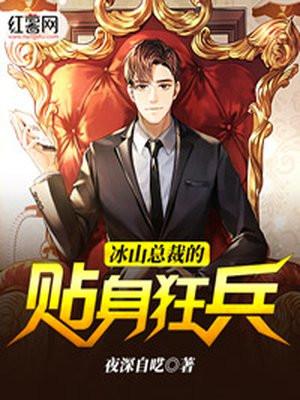 冰山总裁的贴身狂兵h版