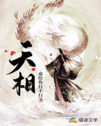 天相境界划分