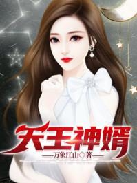 天王赘婿叶辰在线阅读