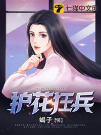 护花狂兵念想