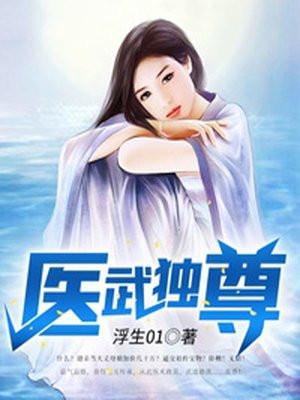 医武独尊宁天最终实力