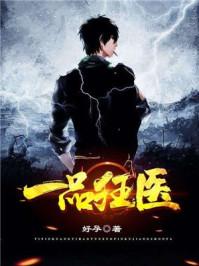 一品狂医叶凡第231章影像