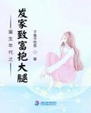 重生年代发家致富军婚