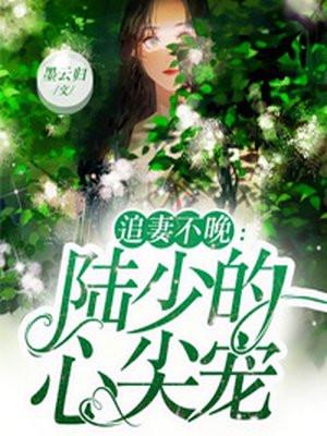 陆少追妻不晚陆少的心尖宠