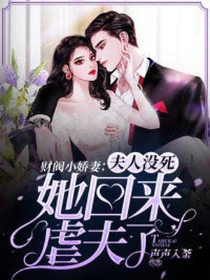 财阀夫人电视剧