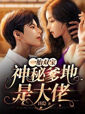 一胎双宝爹地找上门