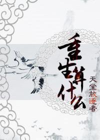重生算什么有车吗