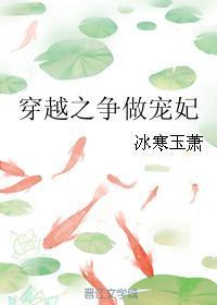 穿越之争做宠妃简介