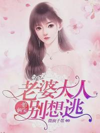 叶南弦沈蔓歌叶南弦全文免费阅读千千看书第1378章