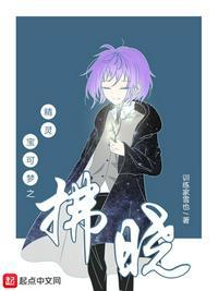 精灵宝可梦之拂晓笔趣阁