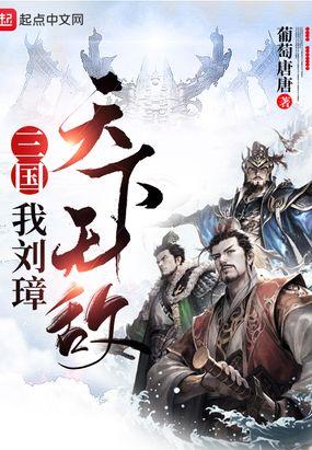 三国以刘璋为主角的