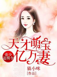 帝少追击令天才萌宝亿万妻 猫小咪
