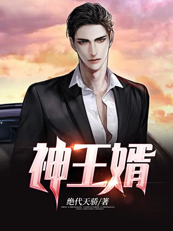 神王婿txt全本