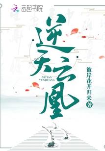 逆天云凰停更最新消息