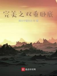 完美之双重卧底电子书TXT