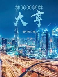 我在美国当总统