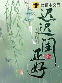 迟迟闺正好全本免费阅读