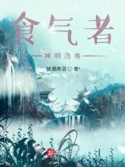 食气者神明而寿TXT