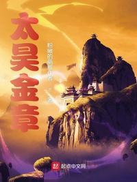太昊金章精校