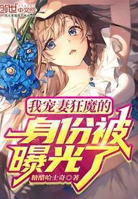 宠妻狂魔我老婆又狠又甜