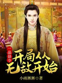 一品县令开局从无敌开始奇书网