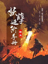 妖孽进阶手册 百度