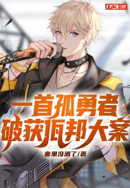 破获佤邦大案txt