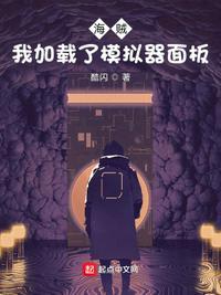 海贼之我加载了面板