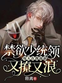 禁欲少统领每天在我面前又撩又浪漫画