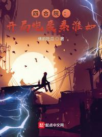 四合院开局炮轰秦淮如作者佛前吃瓜