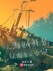 从海贼开始征服多元宇宙txt