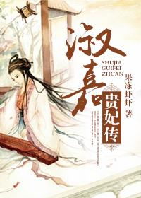 淑嘉皇贵妃儿子