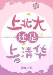 上北大还是上清华免费阅读晋江