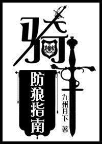 骑士防御