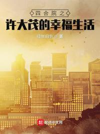 四合院之许大茂的幸福生活经年旧事