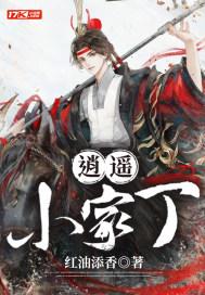 逍遥小家丁全集观看