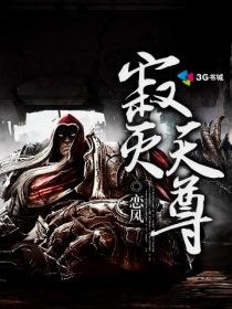 寂灭天尊正版